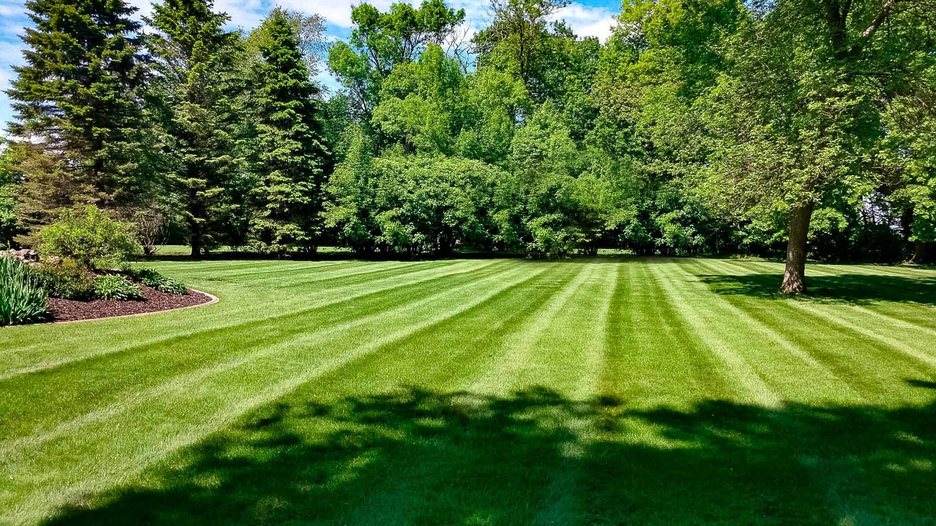 Beautiful, well-maintained yard and landscaping at a property in Mankato, MN.