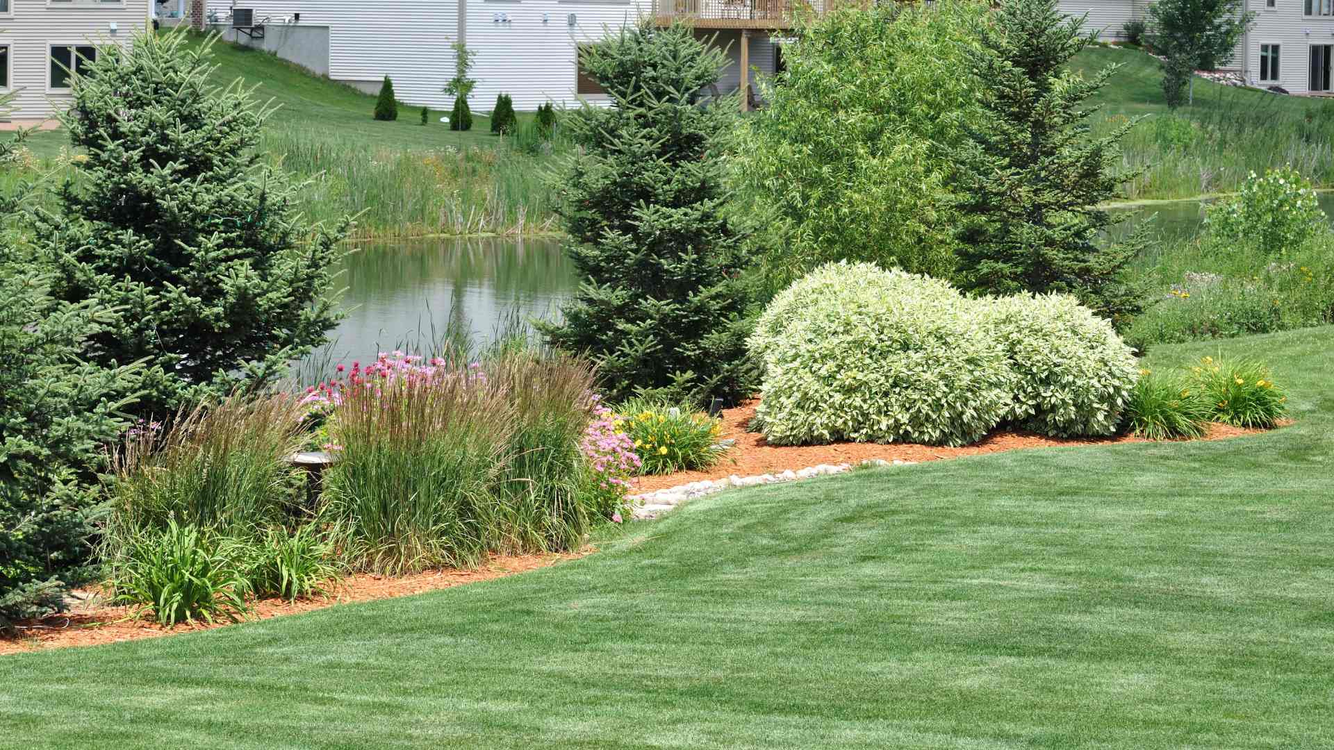 Cleared and mowed lawn after cleanup service in St Peter, MN.