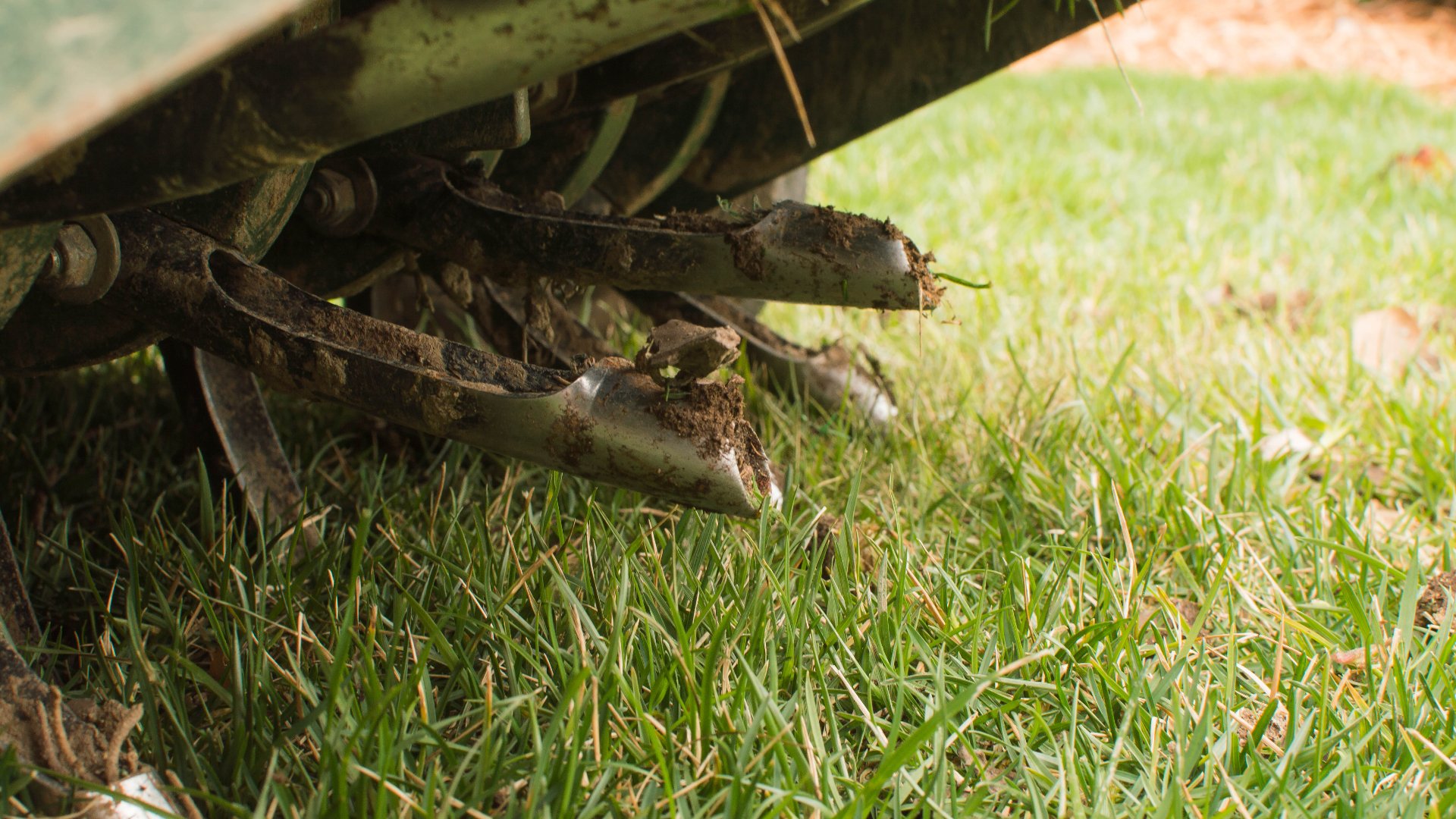 What Exactly Is the Purpose of Core Aeration?