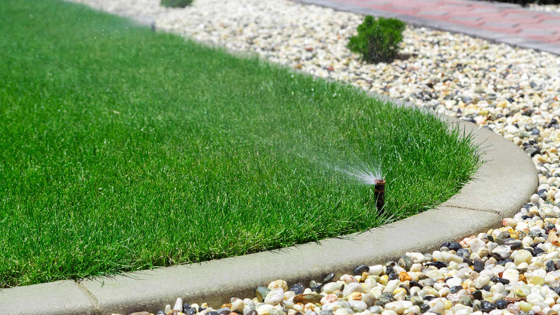 Deep green lawn grass and a water sprinkler running near Mankato, MN.
