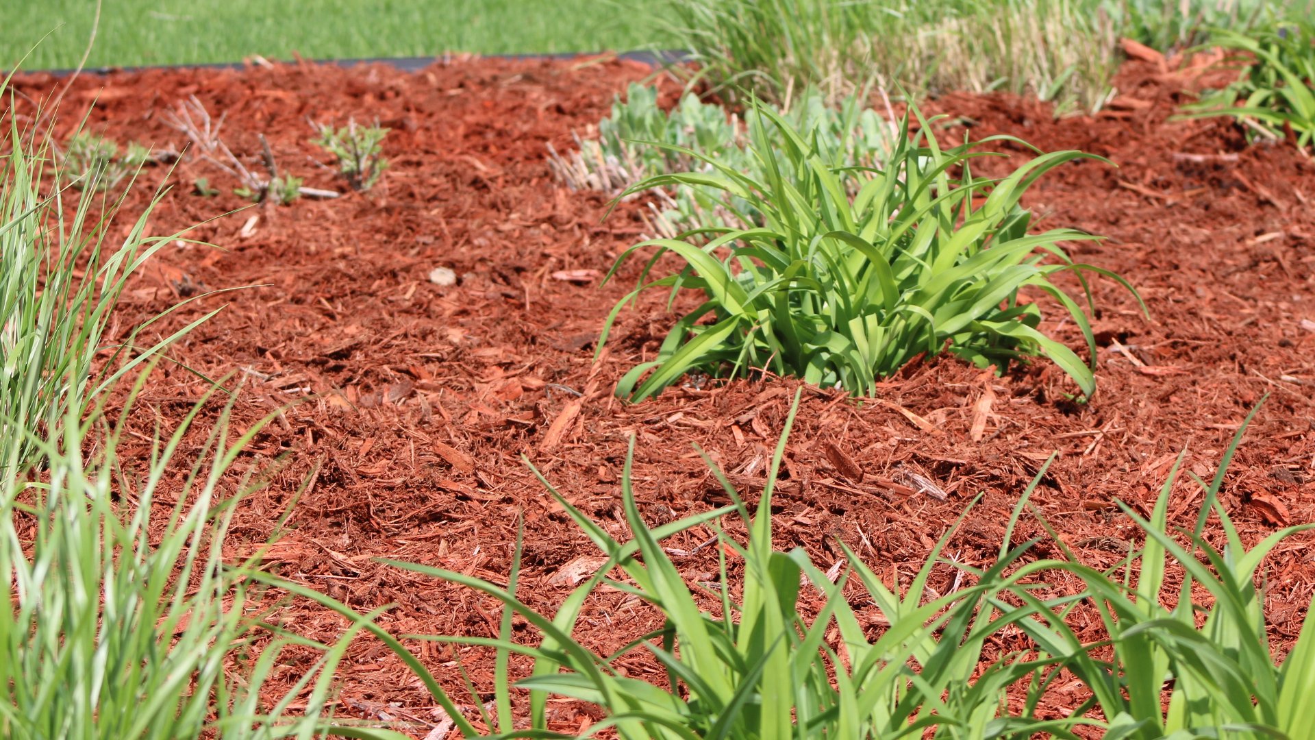 Why Should You Replenish the Mulch in Your Landscape Beds Annually?