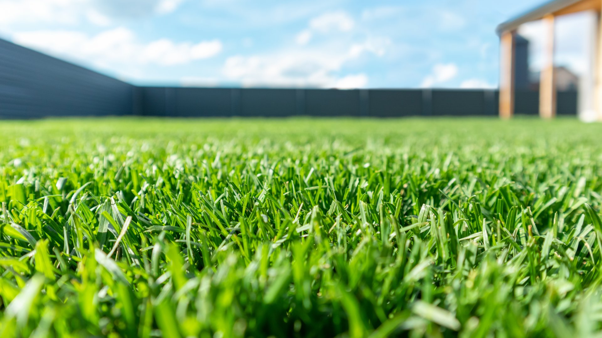 Vibrant and maintained lawn in Mankato, MN.