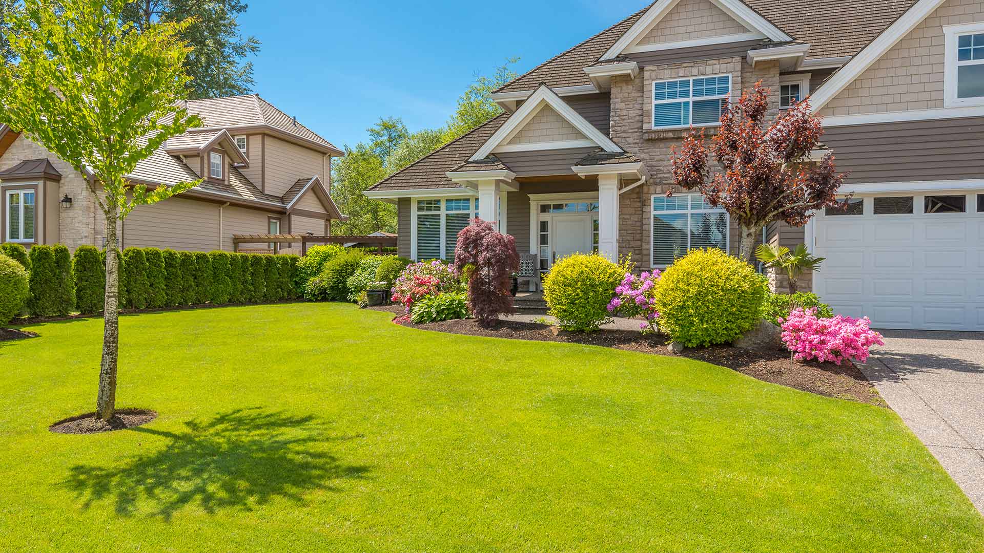 A gorgeous property with a curated lawn and landscape plants in Waseca, MN.