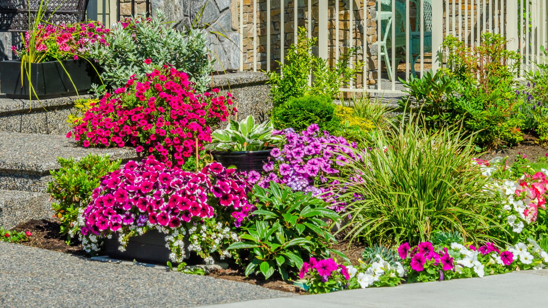 A landscape bed of many colorful flowers and plants installed by our team in front of a client's home in Mankato, MN.