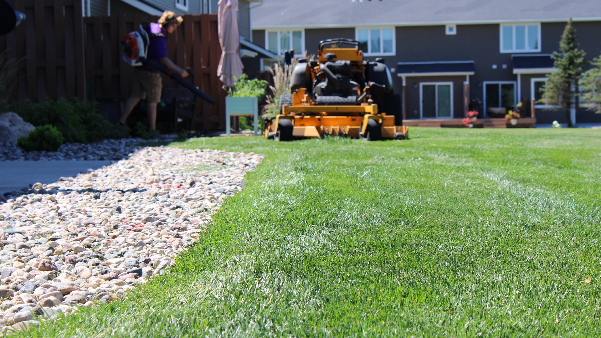 A yellow lawn mower parked on our client's lawn in Madison Lake, MN.