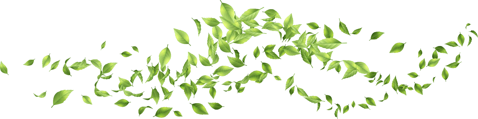 Wave of green leaves graphic