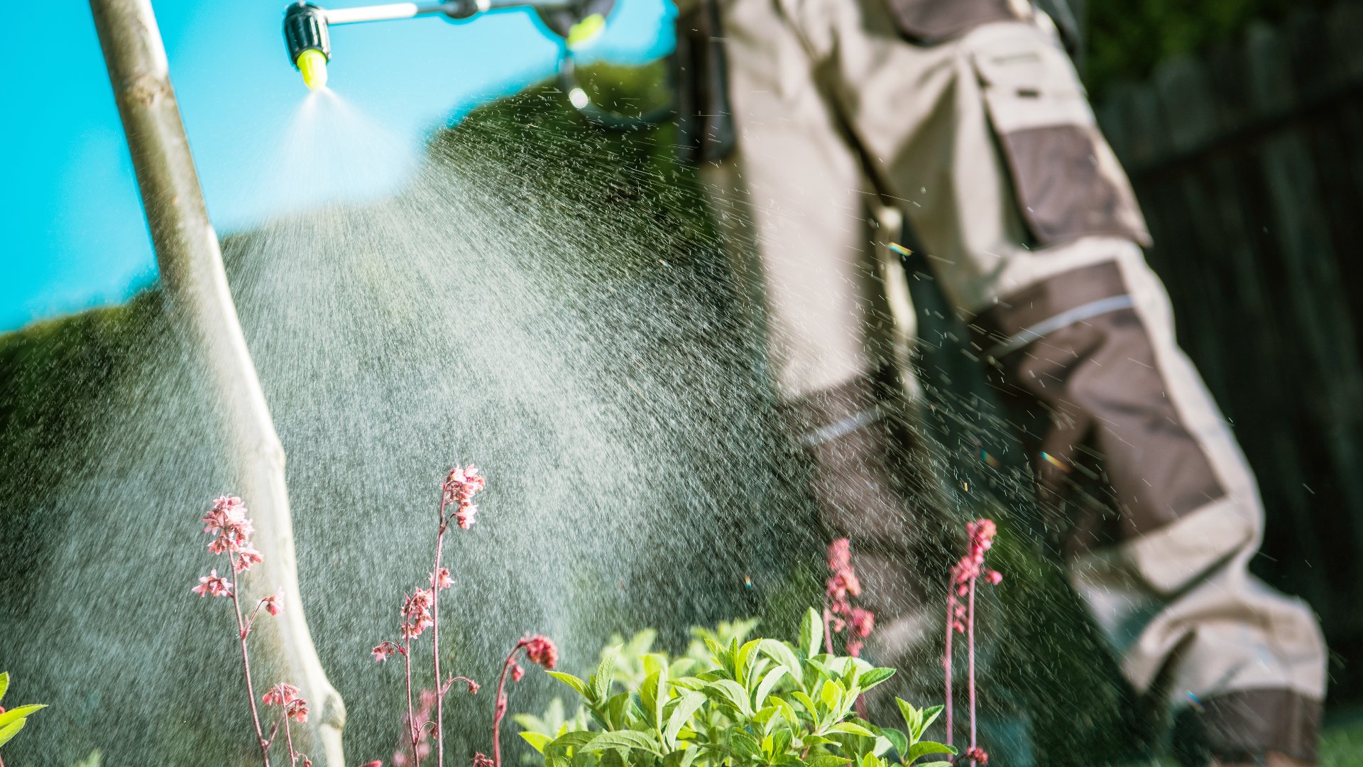 Are Organic-Based Lawn Fertilizer Treatments Worth It?