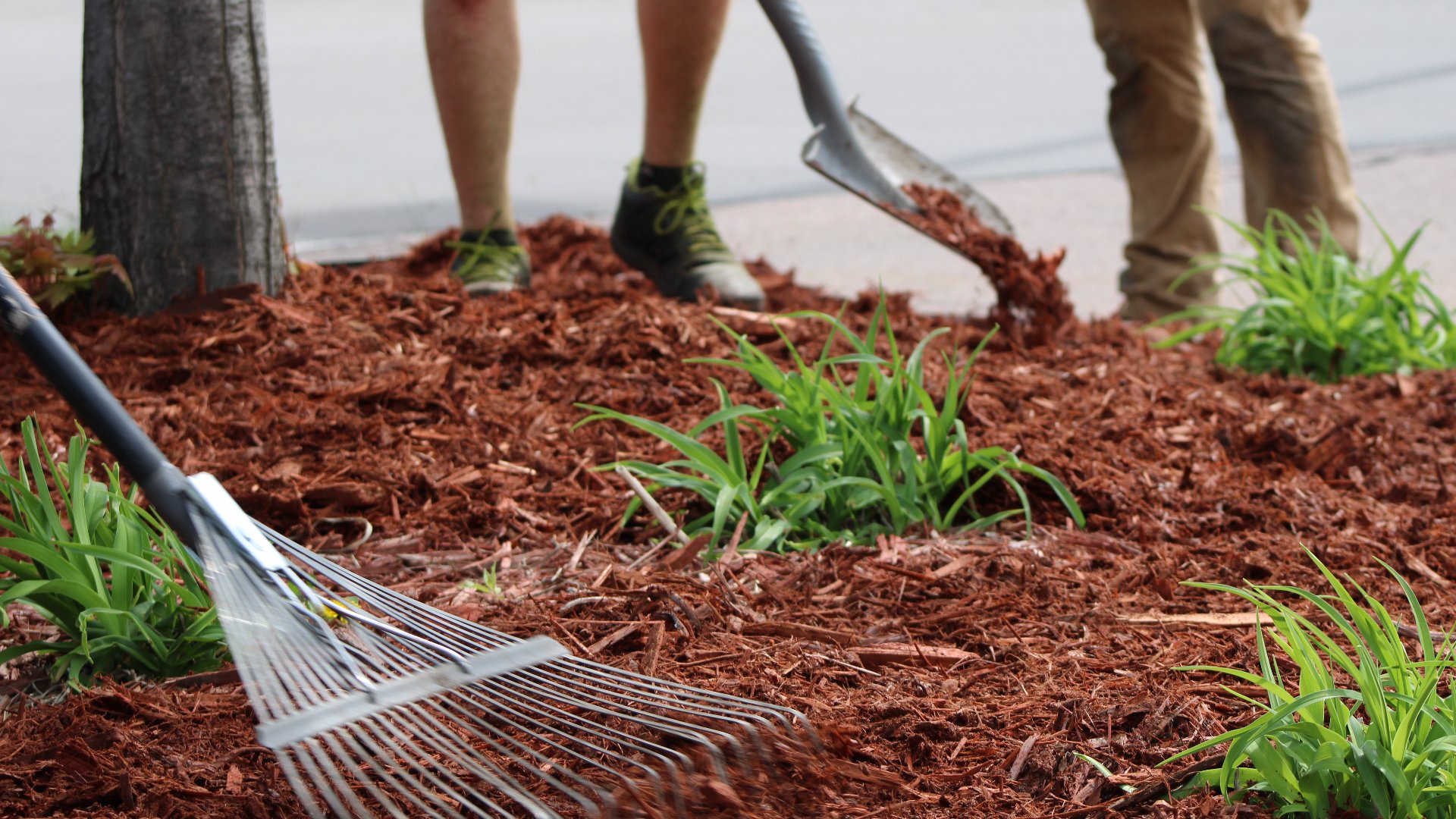 Our landscaping professionals refreshing mulch on our client's property in Nicollet, MN.