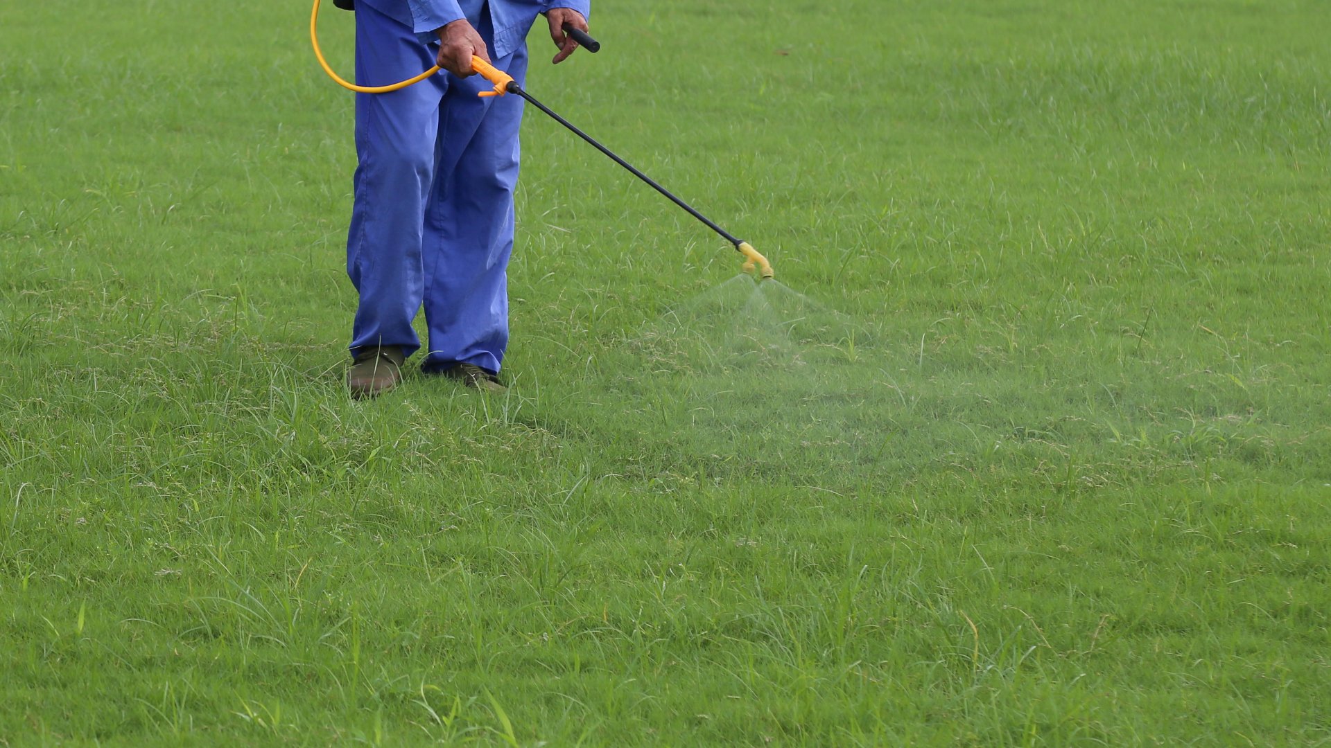 Can You Fertilize Your Lawn Too Late in the Fall?