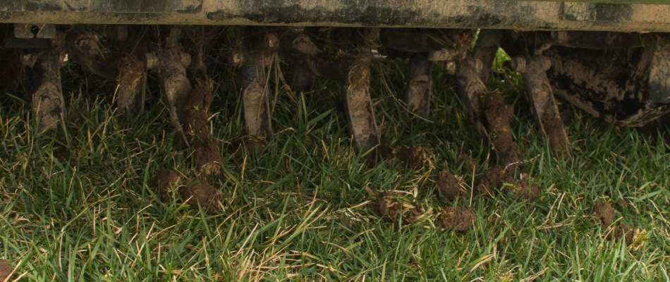 Core aerator machine with plugs setting out in Mankato, MN.