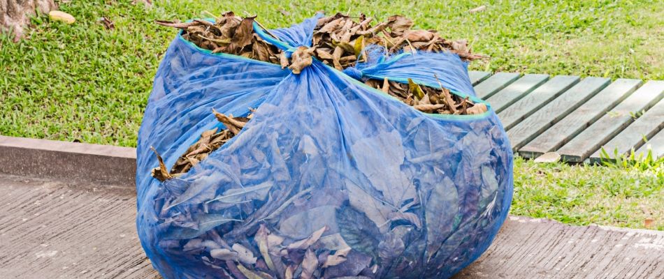 Bag of leaves left at curbside in Mankato, MN.