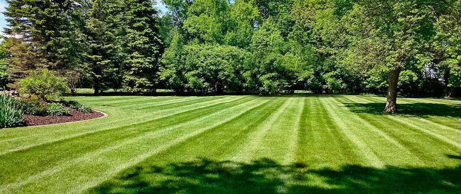 Beautiful, healthy lawn with landscape beds and plantings near Mankato, MN.