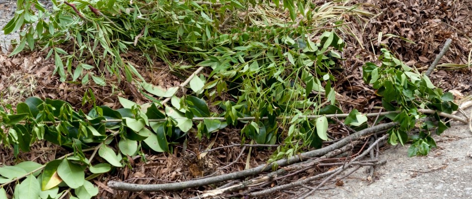 Debris pile for yard cleanup in Mankato, MN.