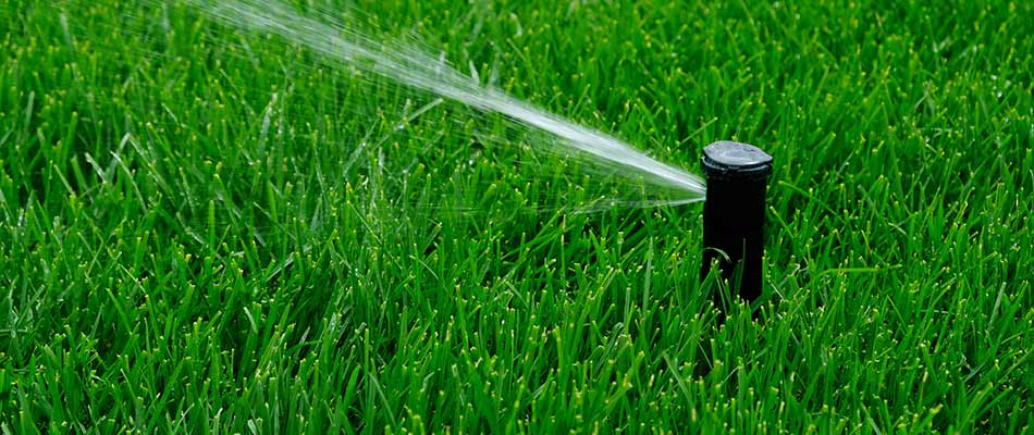Irrigation sprinkler watering a green lawn in Mankato, MN.