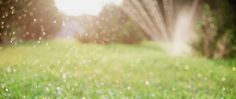 An irrigation system watering a lawn in Janesville, MN.