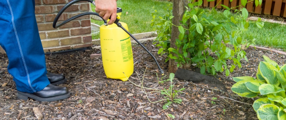 Professional applying landscape bed weed control to bed in St Peter, MN.