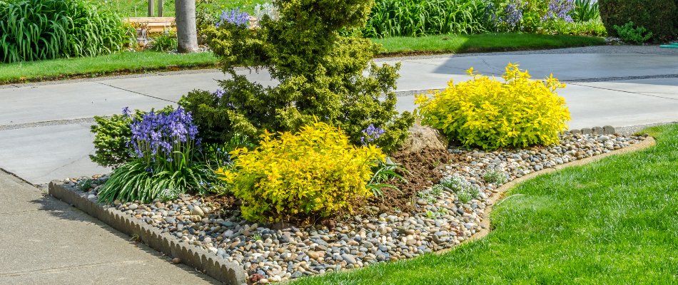 A landscape bed of purple and yellow flowers, topped with rocks, installed by our team in Eagle Lake, MN.