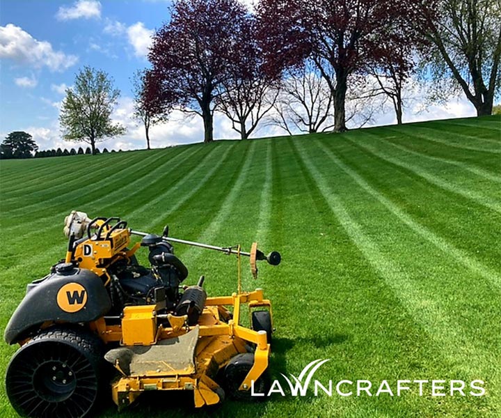 LawnCrafters equipment in a large yard near Mankato, MN.