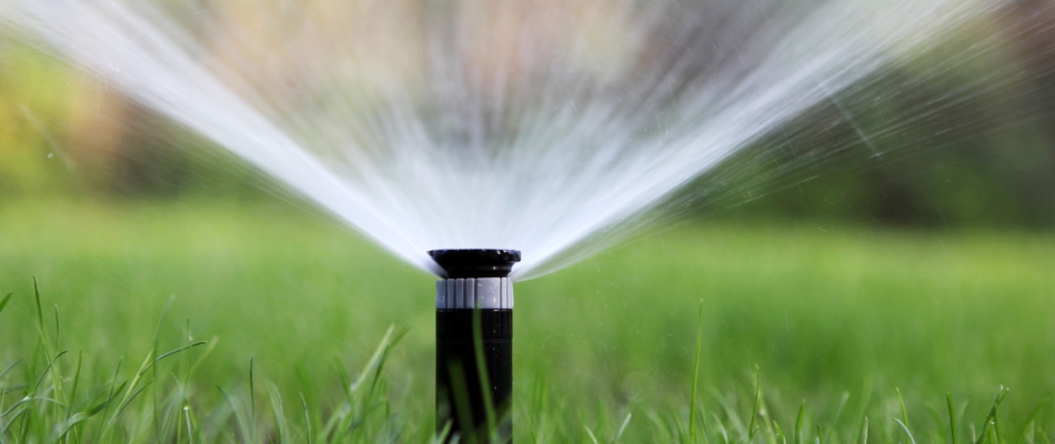 Sprinkler head in lawn in Mankato, MN.