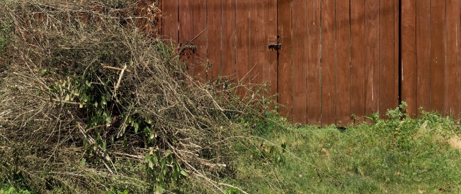 Twig debris pile for spring cleanup service in St Peter, MN.