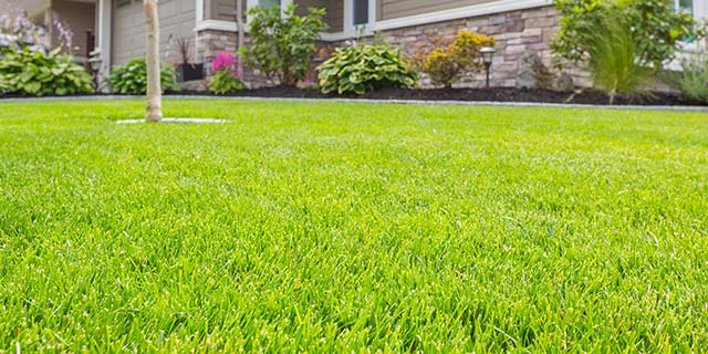 Home with healthy, fertilized lawn grass in Mankato, MN.